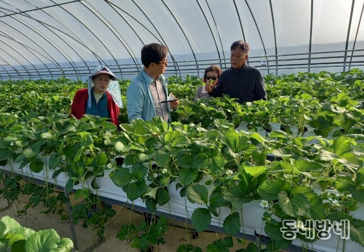 영농현장 맞춤 컨설팅.