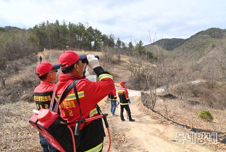 정월대보름 전후 산불방지 특별대책 추진