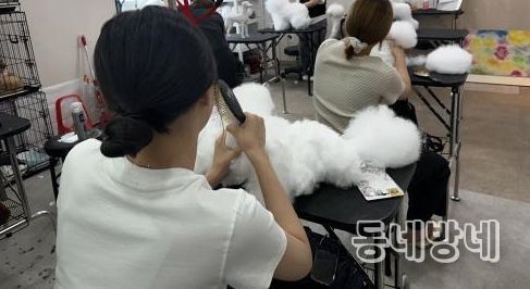 익산시, 학교 밖 청소년의 꿈 키운다