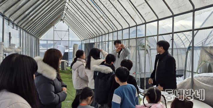 드림스타트 아동 30명과 ‘새콤달콤’ 딸기 수확 체험