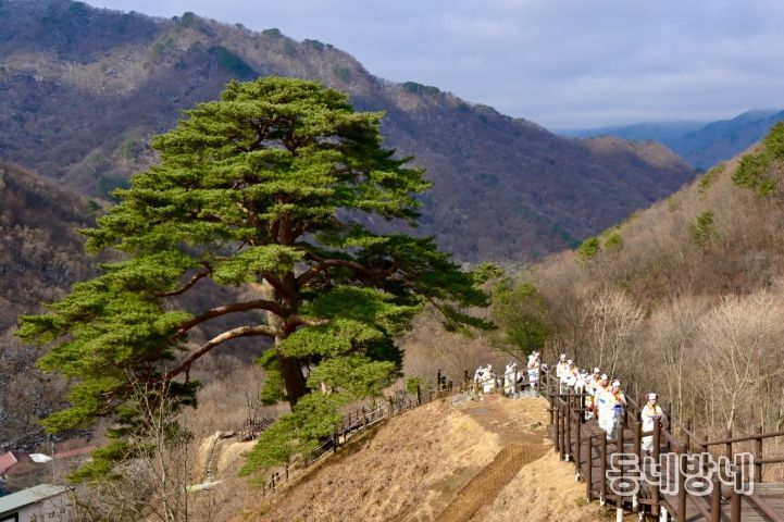 지리산 천년송 당산제, 남원시 산내면 와운마을에서 성황리에 열려