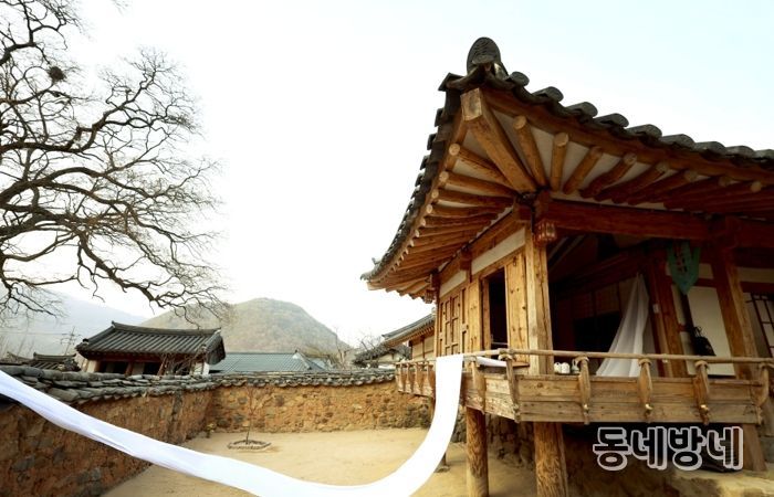 밀양시 단장마을 허씨고가 사랑채의 마루 목련 오브제 사진