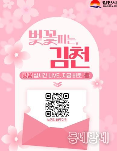 벚꽃피는 김천, 24시간 벚꽃 개화 상황 확인 가능