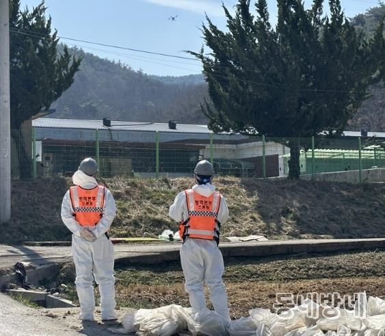 고령군, 아프리카돼지열병 긴급방역 강화!
