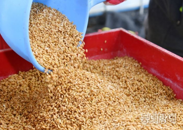 못자리 현장점검