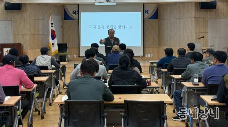 의성군, 가지작목반 대상 찾아가는 영농현장컨설팅 실시